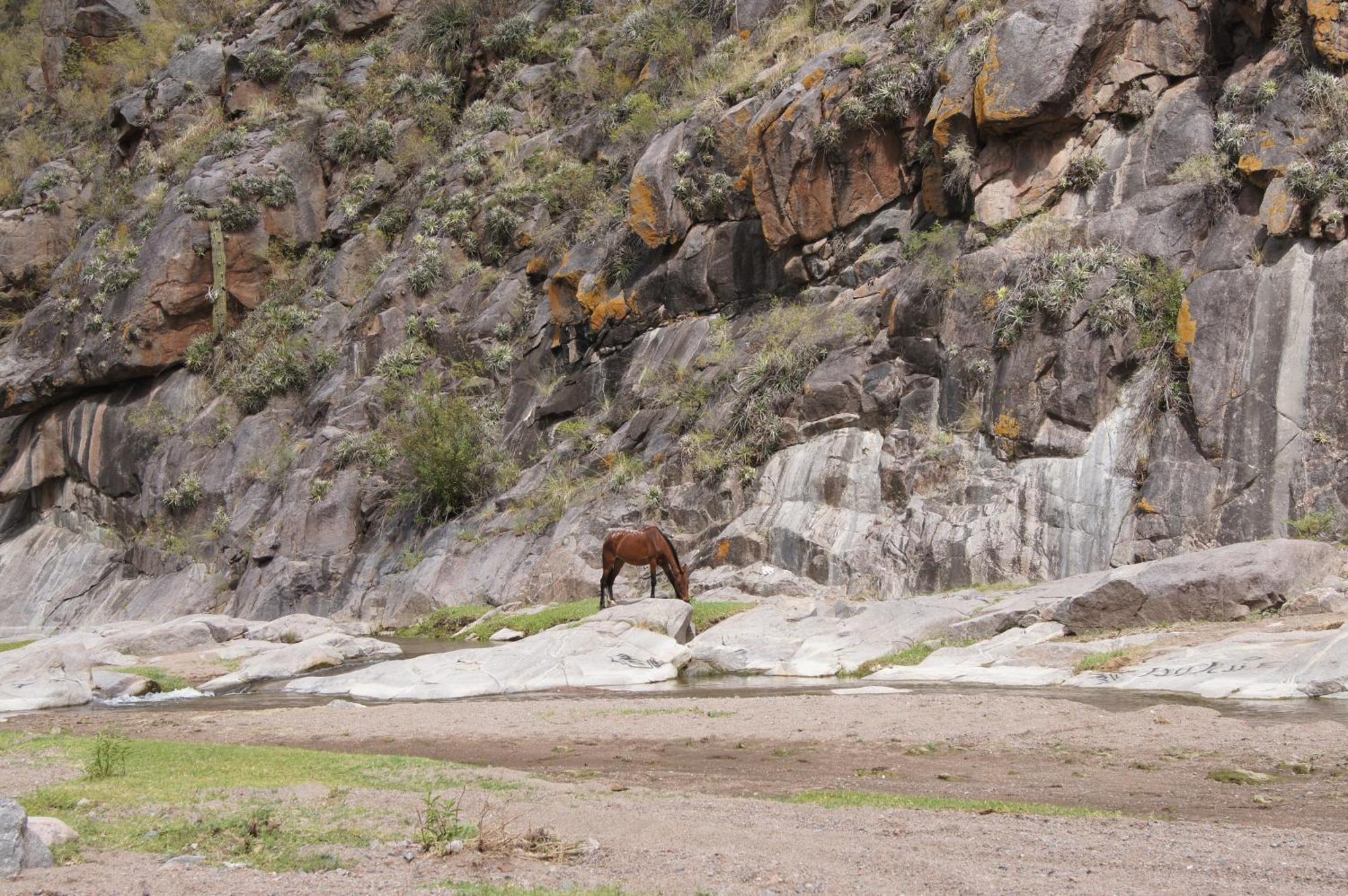 Altos Del Valle San Agustín de Valle Fértil Exterior foto